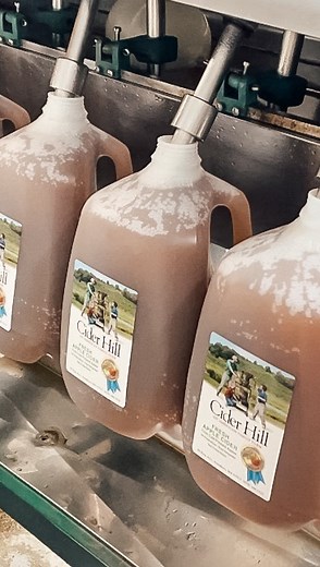 From the Field: Apple Cider 🍎 The taste of fall! Every week, our crew presses thousands of gallons of apple cider for sweet and hard cider. Last week they pressed 70 bins of apples into over 3,000 gallons of cider! Apple Picking Continues! This year’s apple crop is incredible and apple picking is expected to be open through October. We currently have 23 varieties available, including some of your midseason faves: Mutsu, Ambrosia and Northern Spy. PYO: https://www.ciderhill.com/pick-your-own | C