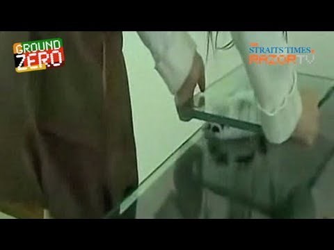 Outrage over bunny smashing!