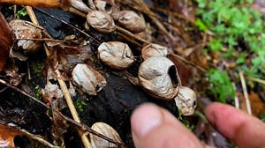 2.4K views | Ohio Hiking Trails and Historical Sites. on Reels | Facebook