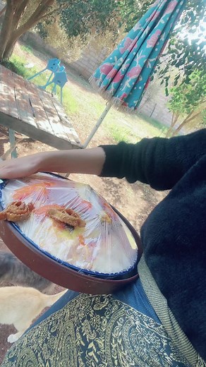 Vidéos de téma (@tema.el1) avec son original - téma