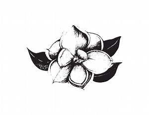 Ceramic and Mosaic Workshops