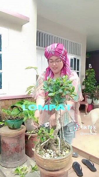 Febe be happy on TikTok