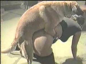 Charged up fresh-faced married skank getting her cunt fucked by a dog in this bestiality vid