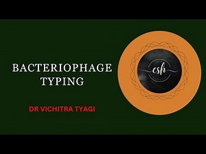 BACTERIOPHAGE TYPING #virology #microbiology