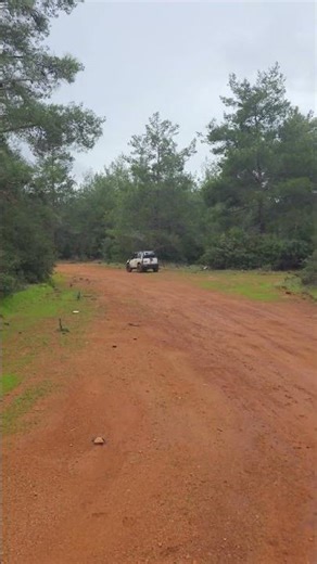 Suzuki Vitara Jlx #automobile #offroad #4x4 #swap #suzuki