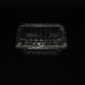 [Hot Item] Clear Plastic Clamshell Packaging for Food Display