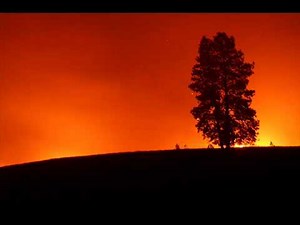 Bruce Springsteen Im On Fire