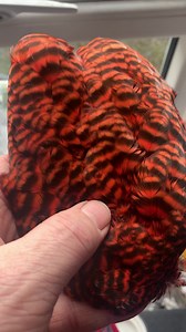 18 reactions | Ifs scandi barred hen saddle in solar flare £19.99 | Irish Fly Supplies Ltd | Facebook