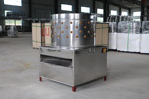 [Hot Item] Poultry Plucker Machine in Automatic Quail Slaughter Equipment Line