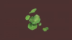 Lotus leaves - 3D model by Humanbean101 (@Hhumanbean)