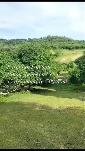 1.6K views | #Farm Lot For Sale#Ilihan Tabogon,Cebu | ADZ.PH | Facebook