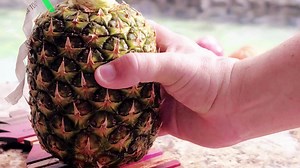 1K views · 18 reactions | We have you covered. When you stay at Hotel Arenal Springs Resort and Spa you can enjoy a fine selection of interesting cocktails and drinks. You are on vacation we have you covered. | Hotel Arenal Springs Resort and Spa | Facebook