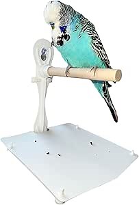 Portable Stick On Bird Perch, Window Bird Perch, Shower Perch, Suction Cup Perch Which Has Poop Catchment Tray, for Small to Medium Birds, Includes 2 Extra Tray Covers Not for Large Birds