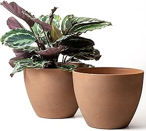 LA JOLIE MUSE Flower Pots Outdoor - Large Garden Planters with Drainage Holes Set of 2 (11.3 Inch, Terracotta Color)