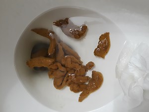 3-11-19 A LOT of poop