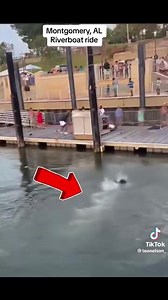 A real movie | Mr WOO | Facebook