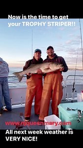 1.8K views · 22 reactions | Get in on the HOTTrophy Striper Bite! We are sailing this weekend. Weather looking SUPER ALL NEXT WEEK. Sun, seasonal temps and calm conditions forecasted Monday thru Friday next week. Plenty of room so COME ON DOWN!! | Queen Mary Party Fishing Boat and Charters | Facebook
