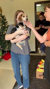 20K views · 895 reactions | Thank you for all your shares for our sweet girl Zula at The City of Mobile Animal Services. She went to an amazing foster home only a few hours after posting thanks to your shares ❤️thank you to my placement teammates Stacey Marie, Abigail Mallory, Taylor Strickland and Melanie Cook for all the hard work today and to Zulas new foster mum for making it here so quickly. ❤️ she is still available for adoption when stray hold is up | Martin Miller | Facebook