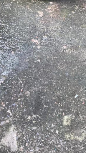 I Keep it so clean🤣🤩🔥 MTB #reels #mtb #cleaningservice #degreaser #bikemaintenance | Savage MTB