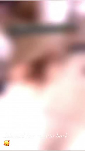 2.5K views · 41 reactions | Molly Moos Westie Rescue Ireland on Reels | Facebook