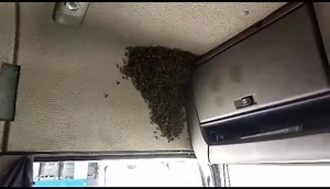 11 reactions | Zimbabwe Professional Drivers on Reels | Facebook