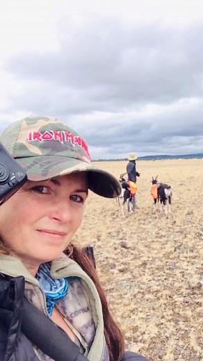 Goatpacking trip September 2019 with friend Shannon Phifer. #goats #goatpacking #goatlife #hiking #mustangs #wildhorses #wildlifephotography | Mustang Meg