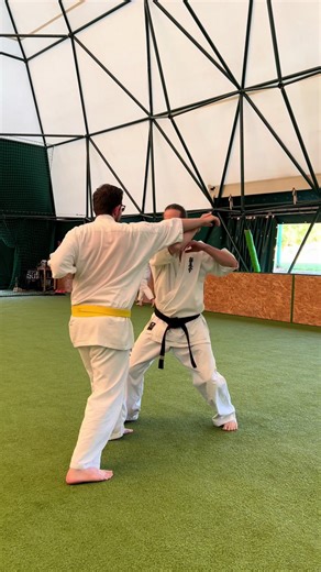 Ez is egy megoldás 🤷‍♂️#training #budapest #hungary #kyokushin #karatedo #selfdefense #samurai #sensei #12kerulet #bunkai