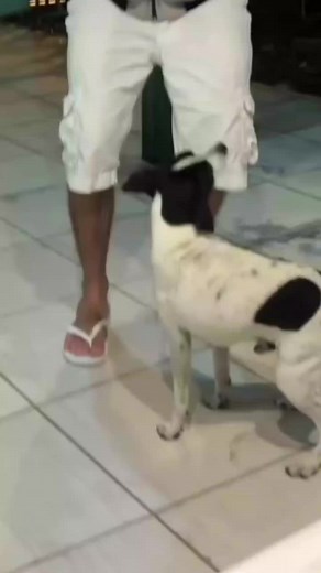 Ristorante, cucina italiana, pizza napoletana