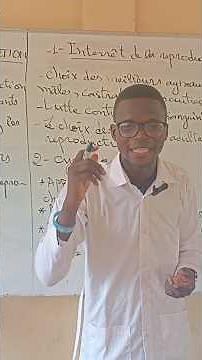 Duration of heat and gestation in sheep