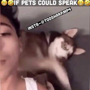 105K views · 1K shares | ToosharpDubs on Reels | Facebook