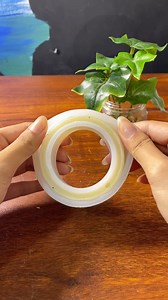 Pest control perfect for Summer! R.A. | Russell Brown