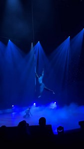 9K views · 25 reactions | #art #flyingpole #artist #duo @parktheater #circus | tsarvlad_artist | Facebook