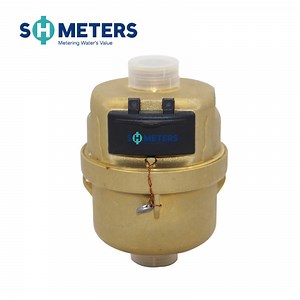 [Hot Item] DN15 Mechanical Rotary Piston Type Volumetric Brass Material Water Meter