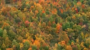 Who are you most excited to see at BISCOLAND? We can’t wait for July! | The Disco Biscuits