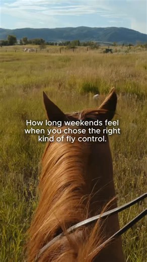 This could be you if you chose Fly Predators to reduce flies around your barn, horse, and you.​ Find out how you can still end up with fewer flies this summer today! https://bit.ly/43Tp3ur | Spalding Labs | Facebook