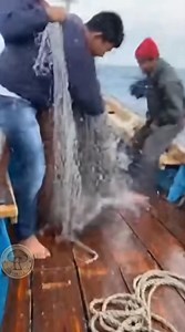 1.1M views · 5.6K reactions | Lo que la red trajo La grabación se...