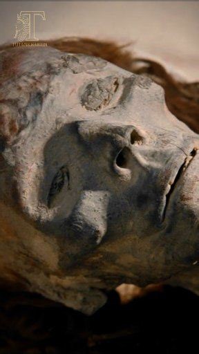 Look at the facial features of Queen Tiye’s mummy… Calm features that reflect the dignity of a queen who played an important role in ancient Egyptian history. Queen Tiye, the wife of King Amenhotep III and the mother of King Akhenaten, was not merely a king’s wife, but an influential political figure—something clearly reflected in the carefully preserved details of her face after thousands of years. This mummy opens a silent window onto a personality that left a clear mark on the course of ancie