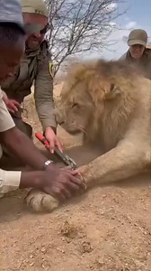 2.3K views | Watch till the end  Real moments, real energy ⚡ #Scoopz #ContentLife #ForYou | Sonu Kumar | Facebook