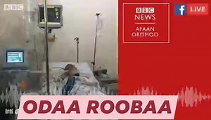 Hookara magaala adamaa keessati ka'en muktar jamalis baaye midhame jira | Odaa Roobaa