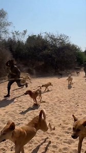 11M views · 199K reactions | Hadzabe Tribe skilled serious bushmen simple beautiful traditional lifestyle in the nature 殺 #fblifestyle | Lovely daily adventures | Facebook