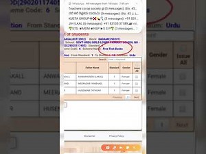 Incentive Entry in SATS