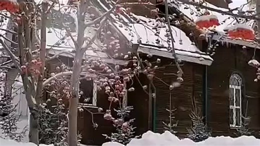 Живите в радости и мире!