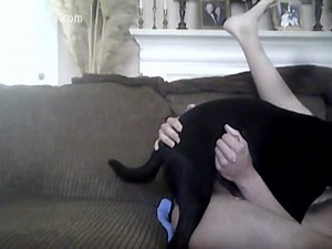 Salope zoophile en cam cachée avec le chien de son chien