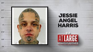 White supremacist with symbols of hate all over face, body wanted by Metro Gang Unit