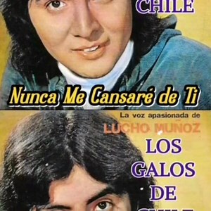 3.1K views · 87 reactions | Los Galos de Chile♥️ ✨Nunca me cansaré de ti✨ | Grandes Éxitos | Facebook