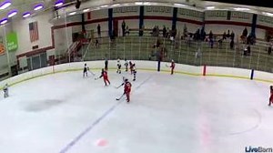 Violet Zebro gets the breakaway and scores during the North American Female Elite Showcase from NSC Super Rink! | LiveBarn