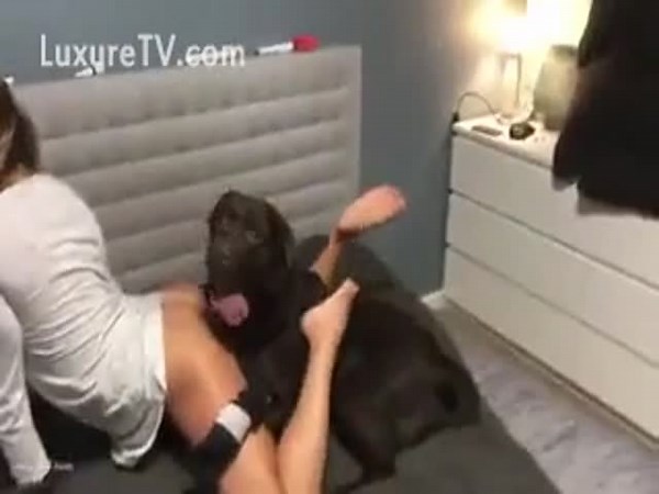 Veronika