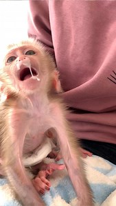 Wow OMG! So Full For Day Mum - Unbelievable Little Baby Nike Drink Milk a lot today | Tom & Jerry Family