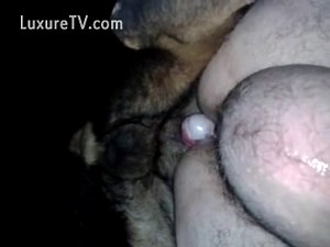 Dog knots in guys ass and fills him full of cum