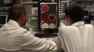 Covid e ricerca: presentati a Trieste gli studi promossi dall'ASUGI